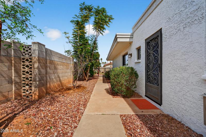 Side Yard