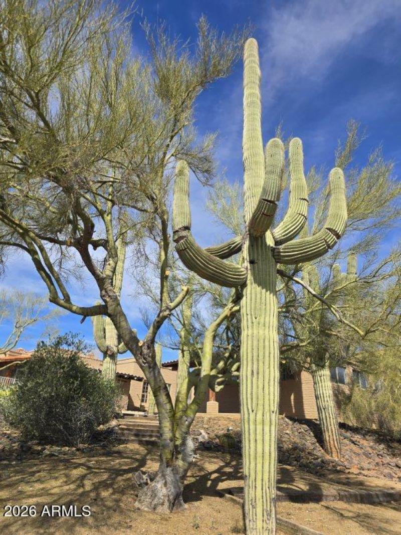 6601 E Willow Springs Ln N