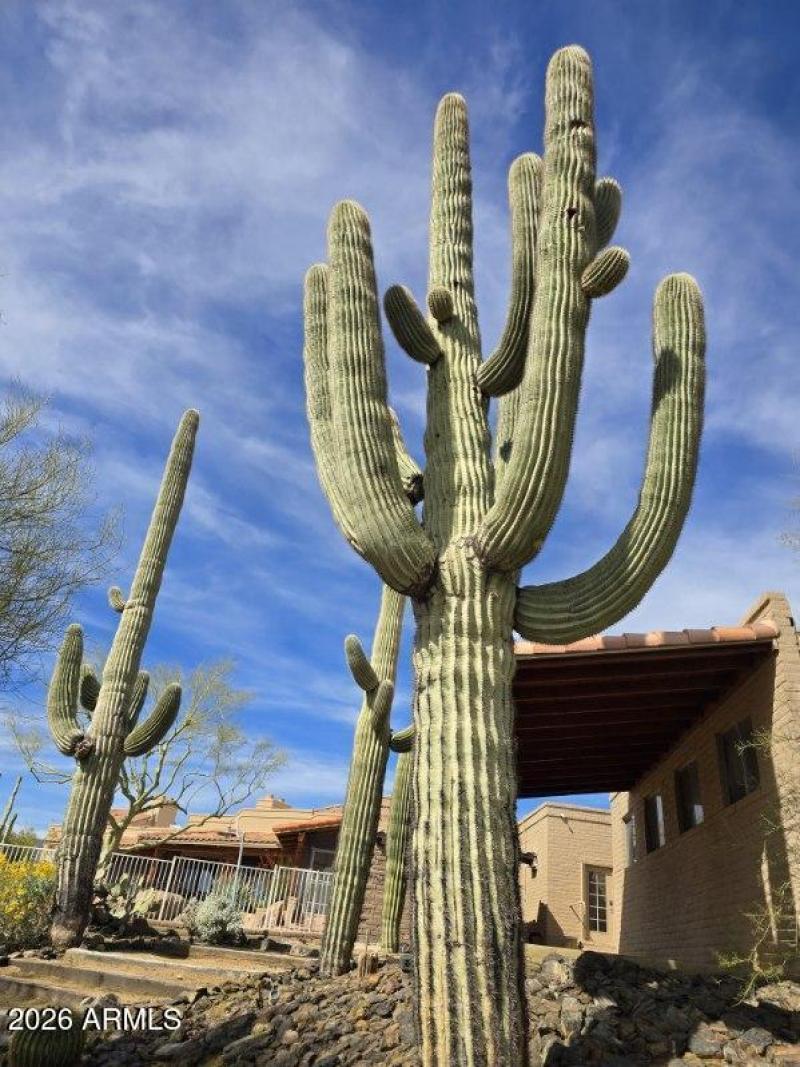 6601 E Willow Springs Ln N