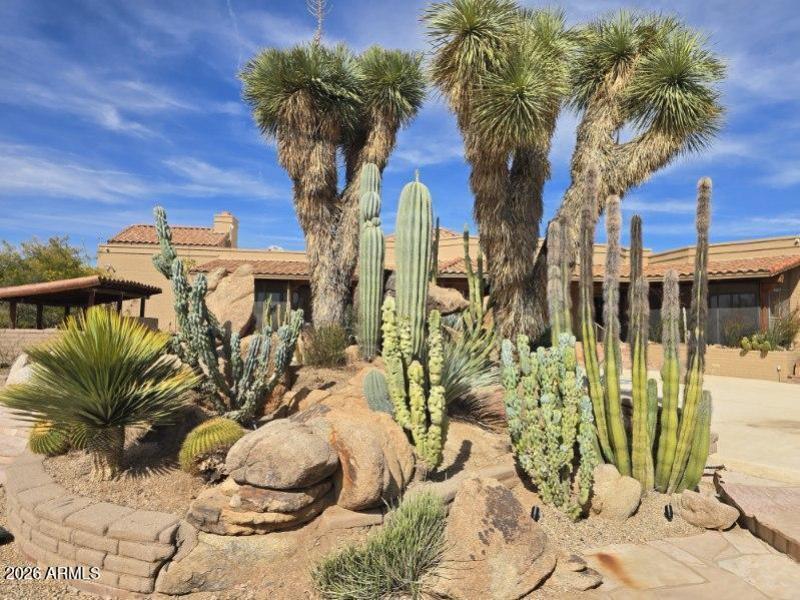 6601 E Willow Springs Ln N