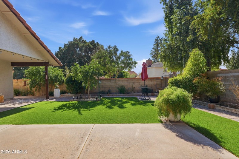 Backyard Garden and Fruit Trees