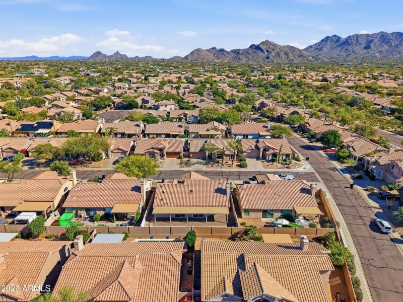 36_dji_20260225124459_0362_d