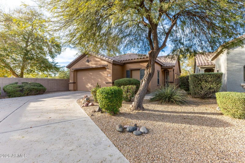 05 - Catherine 40136