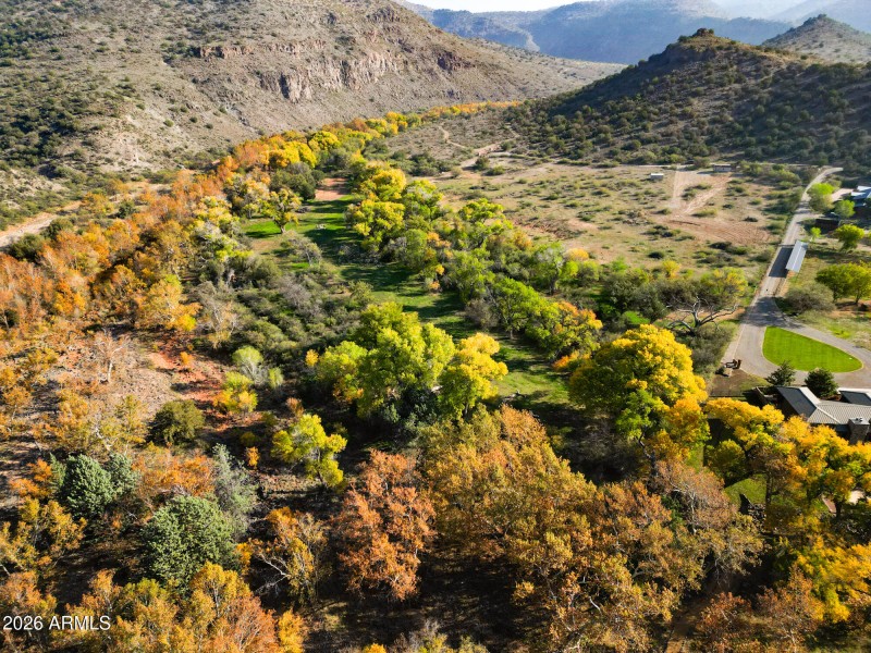 closer greenscape and colors