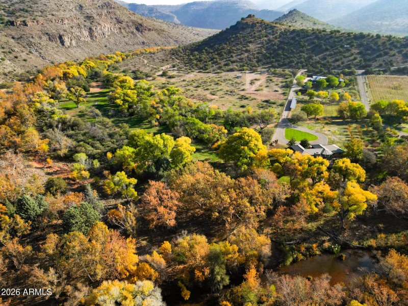 Greenscape and colors along creek