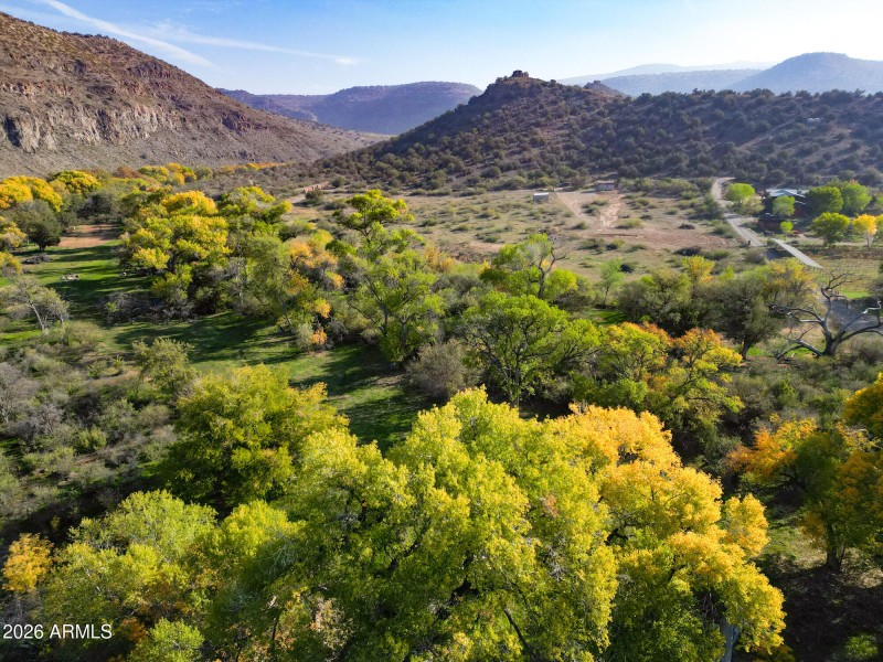 Greenspace with upper pasture in backgro