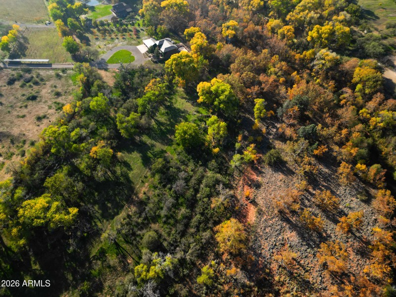 Overhead of lower pasture looking S