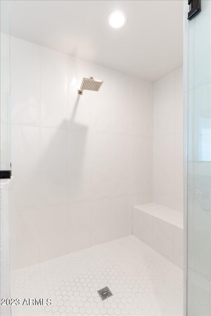 Primary Bathroom Shower