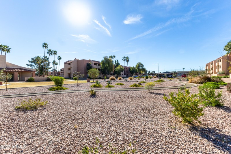 Xeriscape Garden