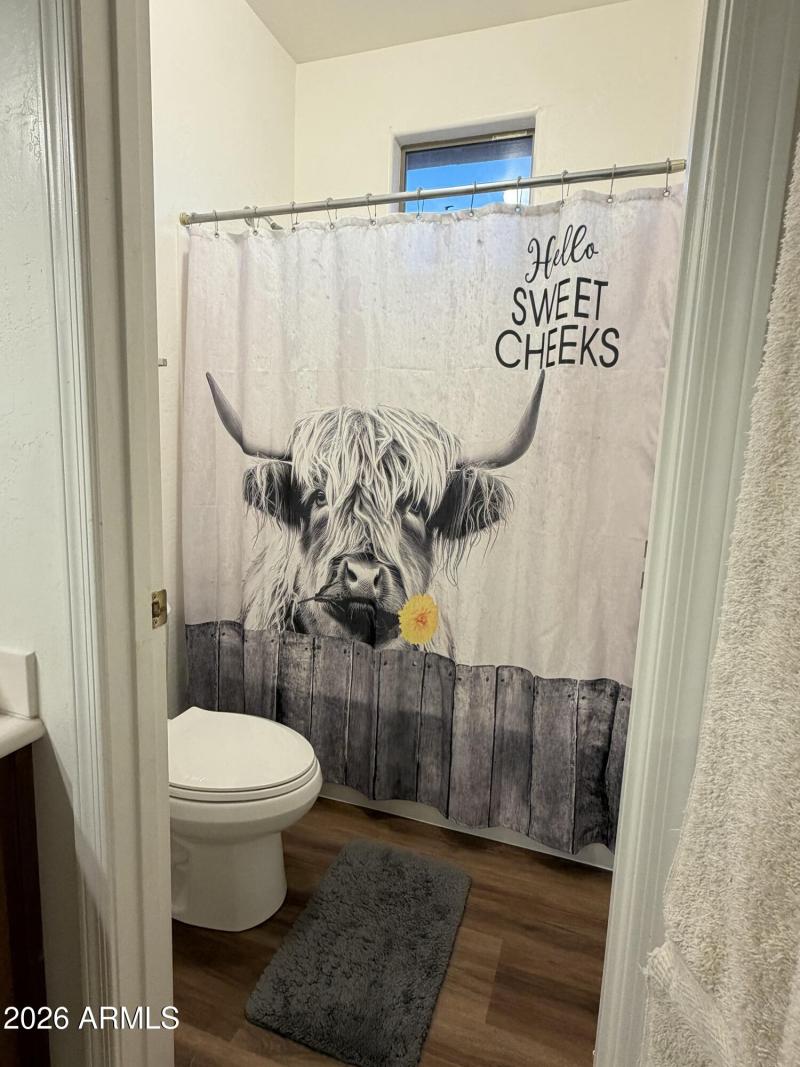 Upstairs Bathroom
