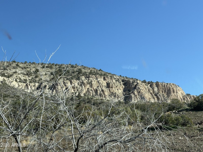 Online Auction (160 acres)