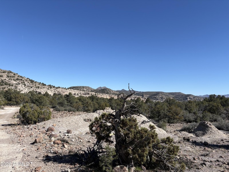 Online Auction (160 acres)