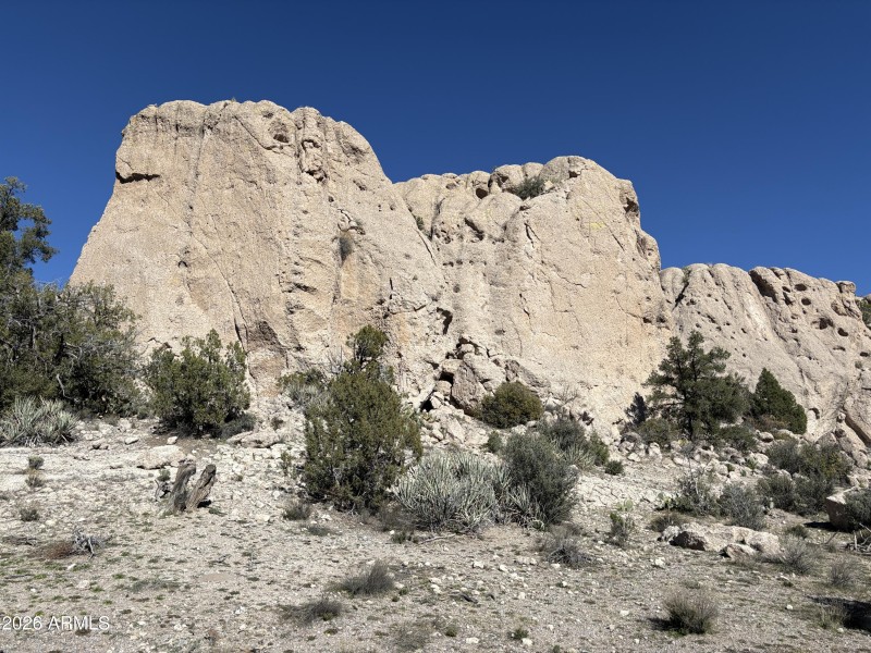 Online Auction (160 acres)