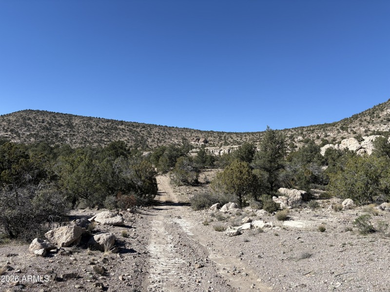 Online Auction (160 acres)