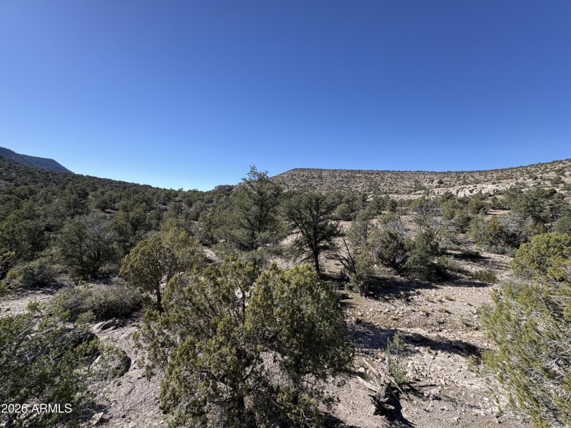 Online Auction (160 acres)