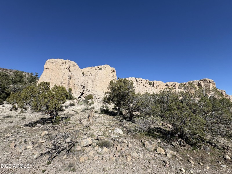 Online Auction (160 acres)