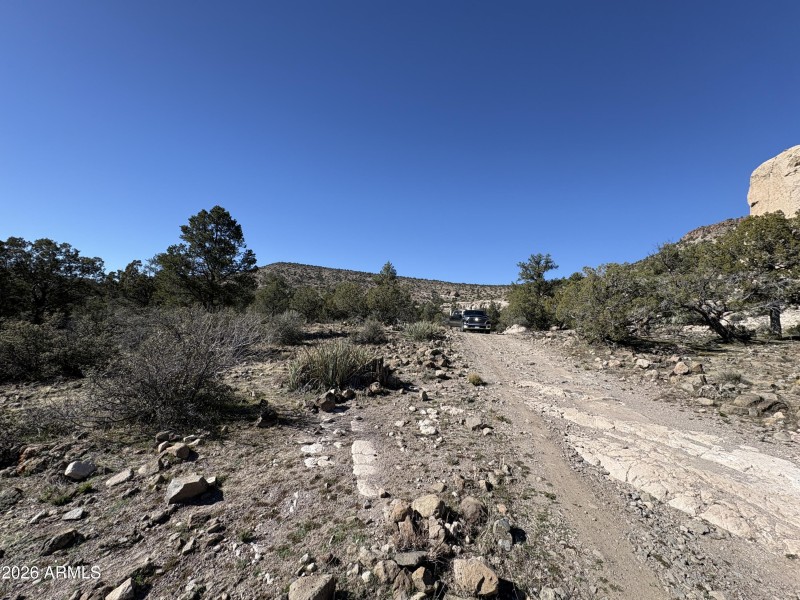 Online Auction (160 acres)