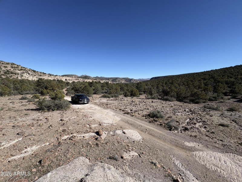 Online Auction (160 acres)