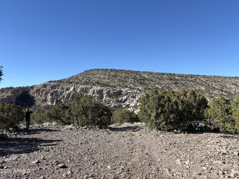 Online Auction (160 acres)