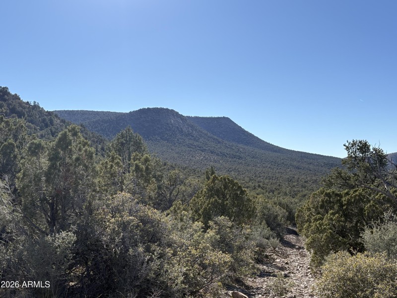 Online Auction (160 acres)