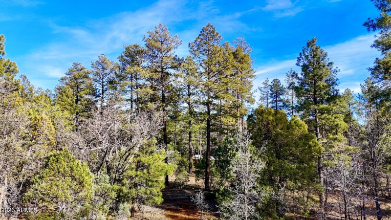 dji_fly_20260227_162018_0555_17722497715