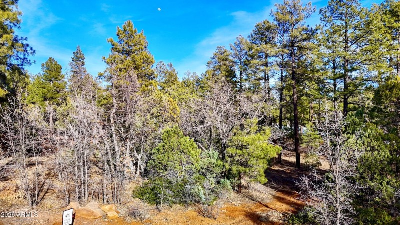 dji_fly_20260227_162016_0554_17722497719