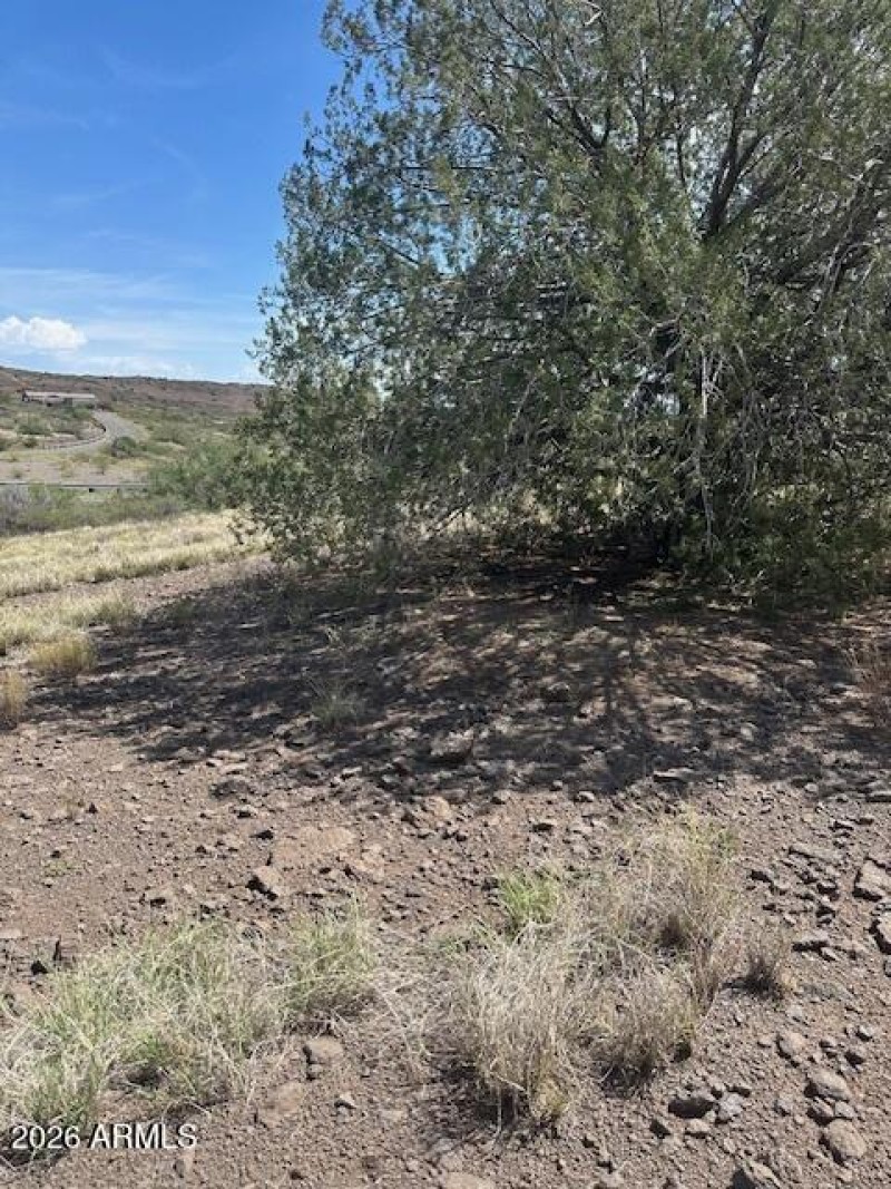 Where the West Begins