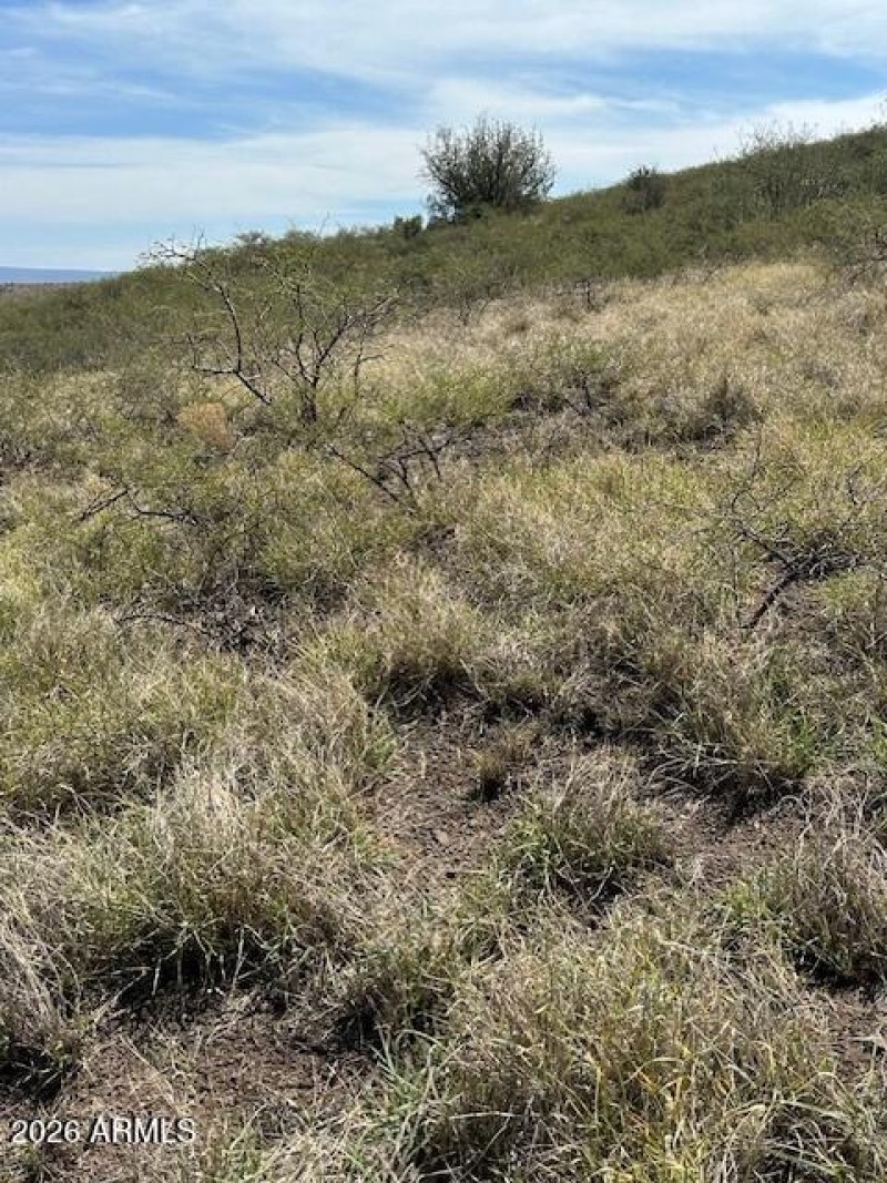 Escape to Open Space