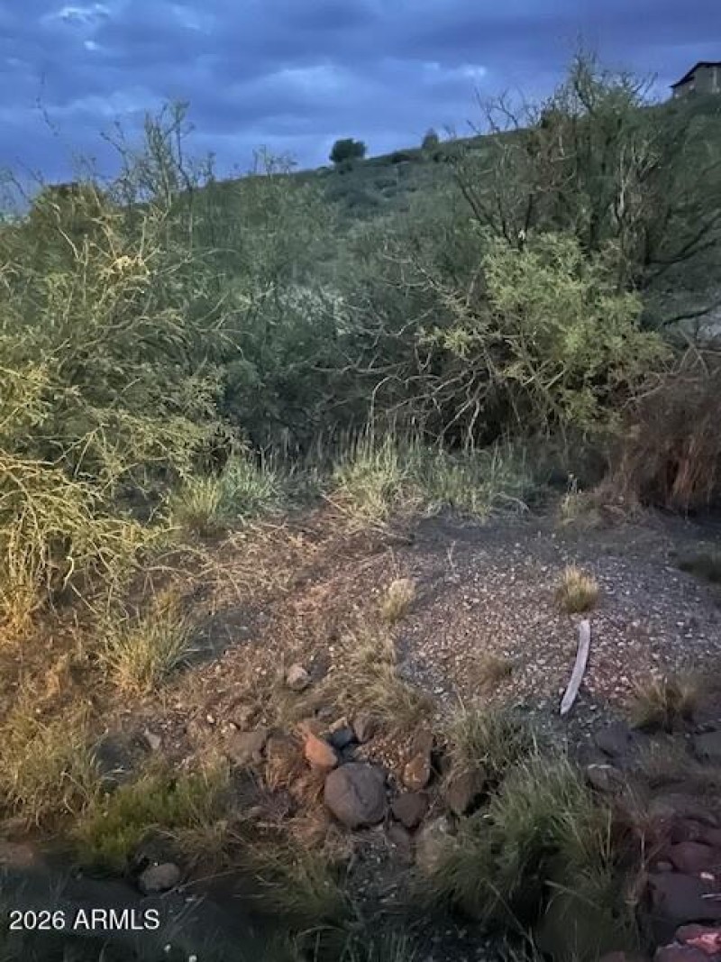 Starry Nights, Wide Desert