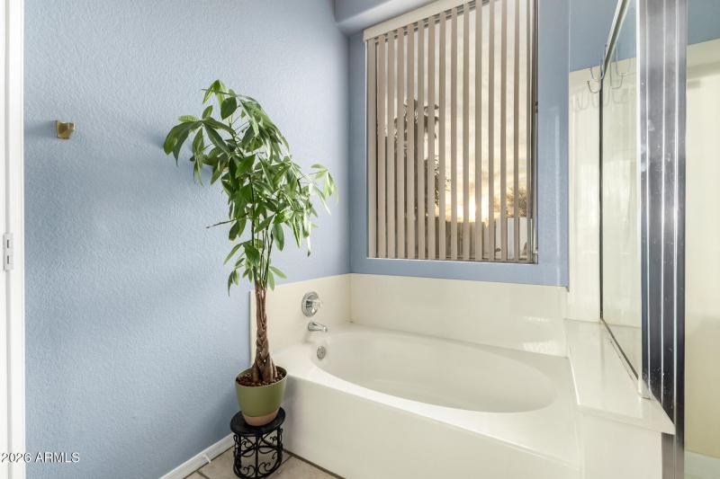 33 - Joshua Tree 1142