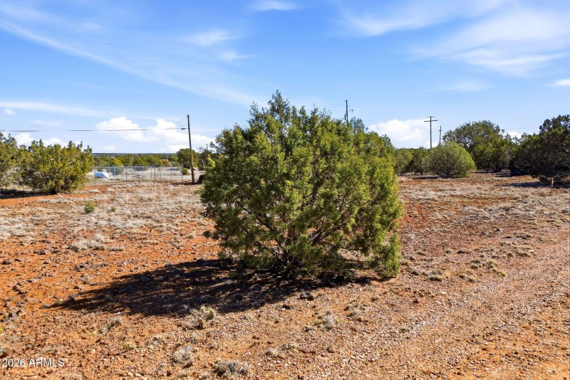 8396BearMeadowDr-ShowLowAZ-2