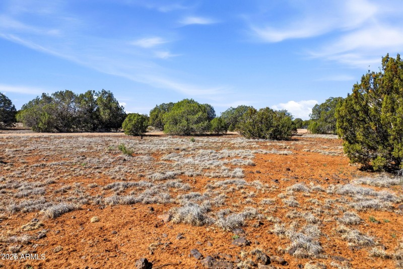 8396BearMeadowDr-ShowLowAZ-4