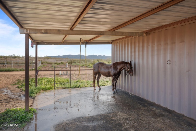 67-web-or-mls-DSC06342