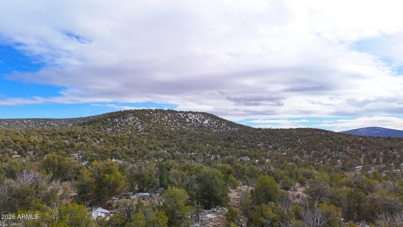 dji_fly_20260219_154426_0401_17715902854