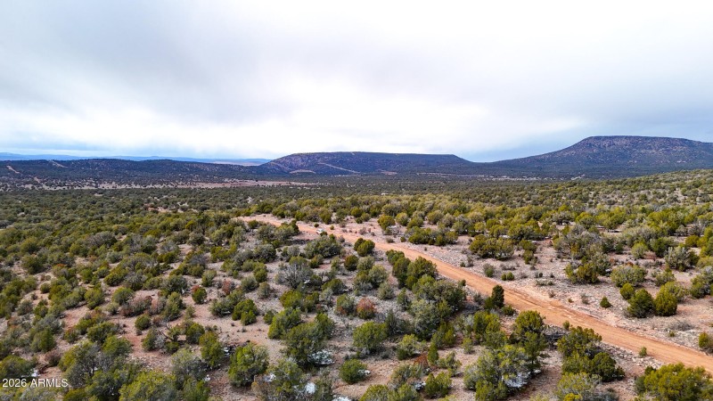 dji_fly_20260219_154458_0408_17715902833