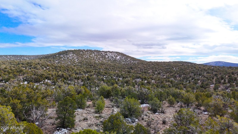 dji_fly_20260219_154430_0402_17715902852