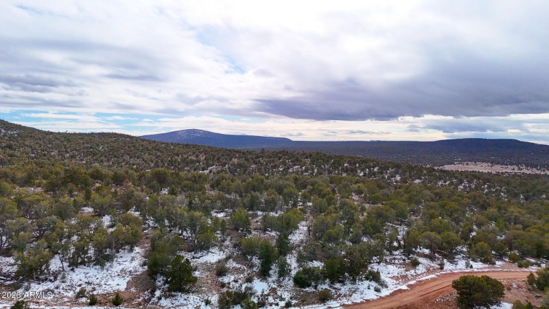 dji_fly_20260219_154404_0396_17715902867