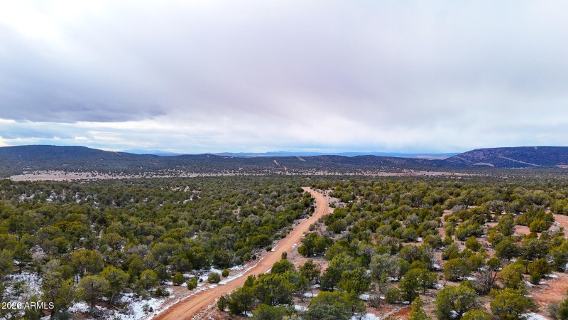 dji_fly_20260219_154410_0398_17715902862