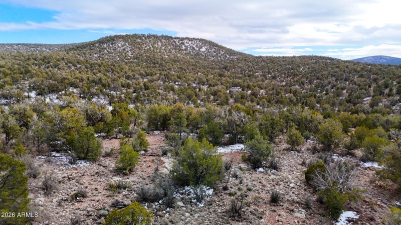 dji_fly_20260219_154432_0403_17715902849