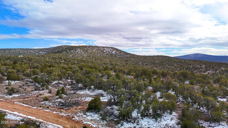 dji_fly_20260219_154406_0397_17715902865