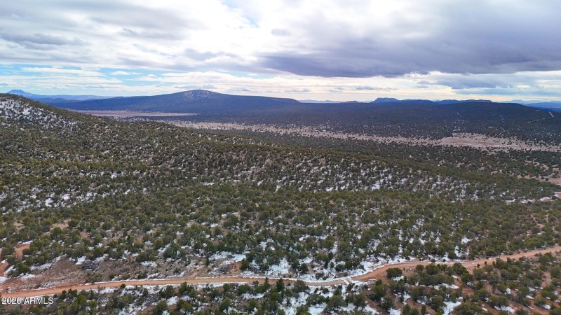 dji_fly_20260219_154342_0395_17715902870