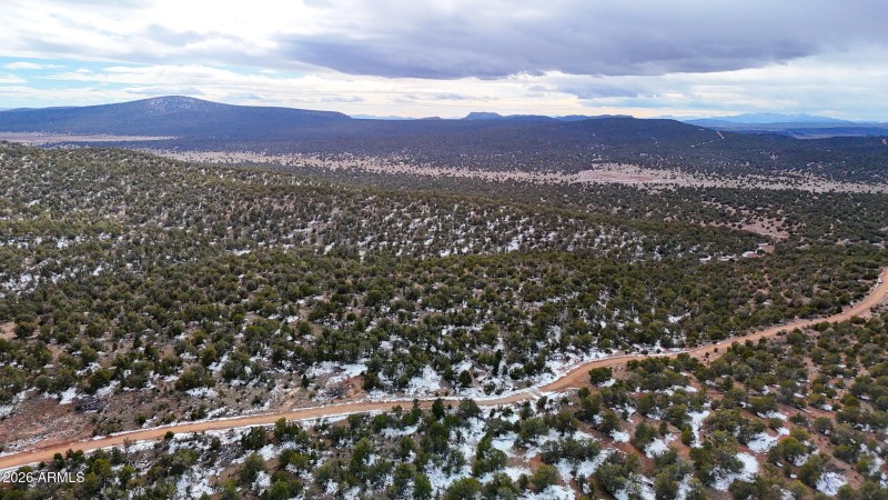 dji_fly_20260219_154336_0393_17715902876