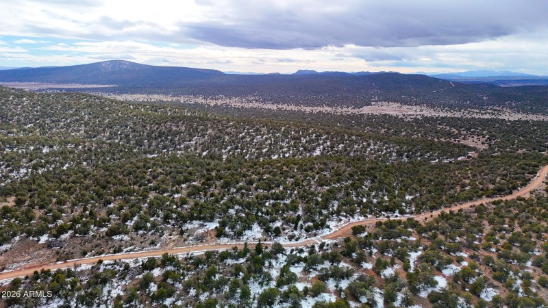 dji_fly_20260219_154338_0394_17715902873