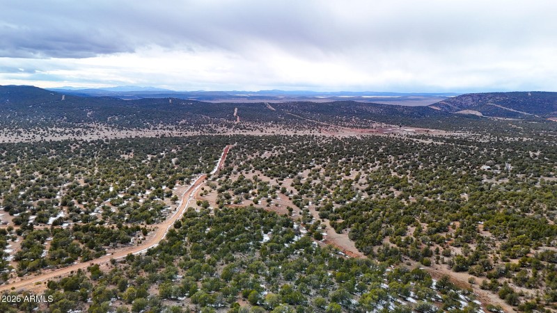 dji_fly_20260219_154216_0390_17715902884