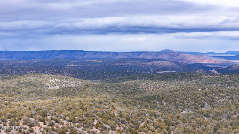 dji_fly_20260219_154208_0388_17715902890