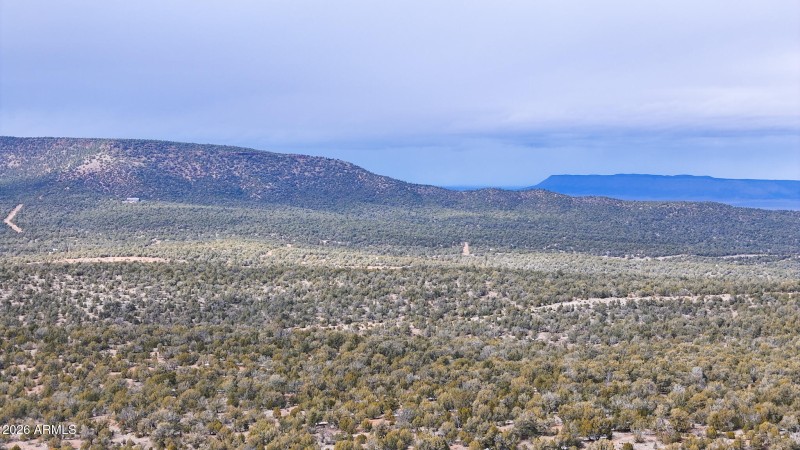 dji_fly_20260219_154210_0389_17715902887