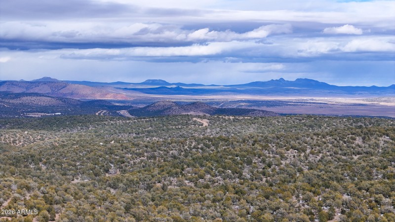 dji_fly_20260219_154206_0387_17715902893