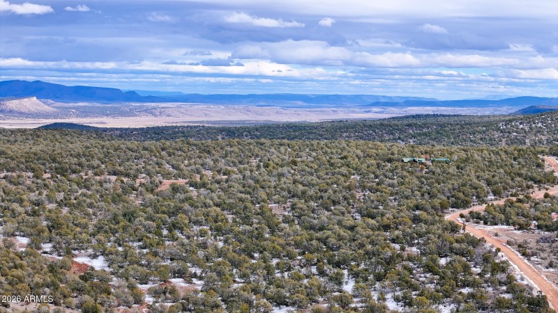 dji_fly_20260219_154200_0385_17715902901