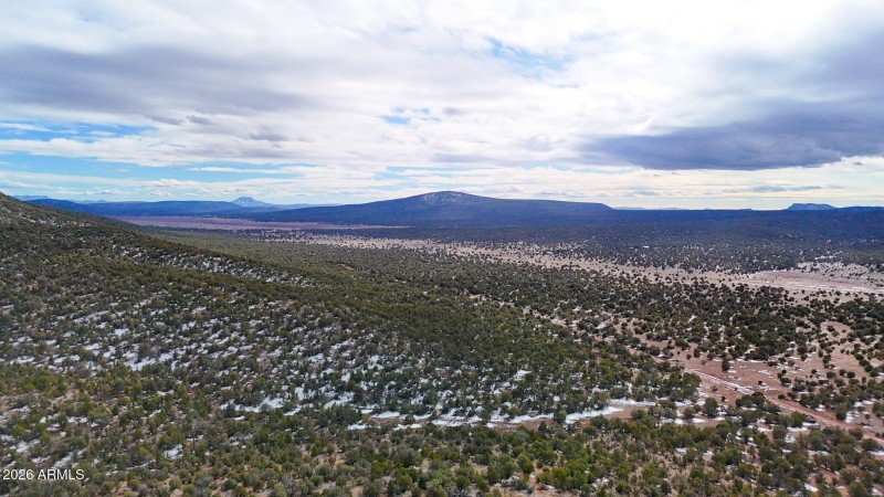 dji_fly_20260219_154146_0382_17715902911