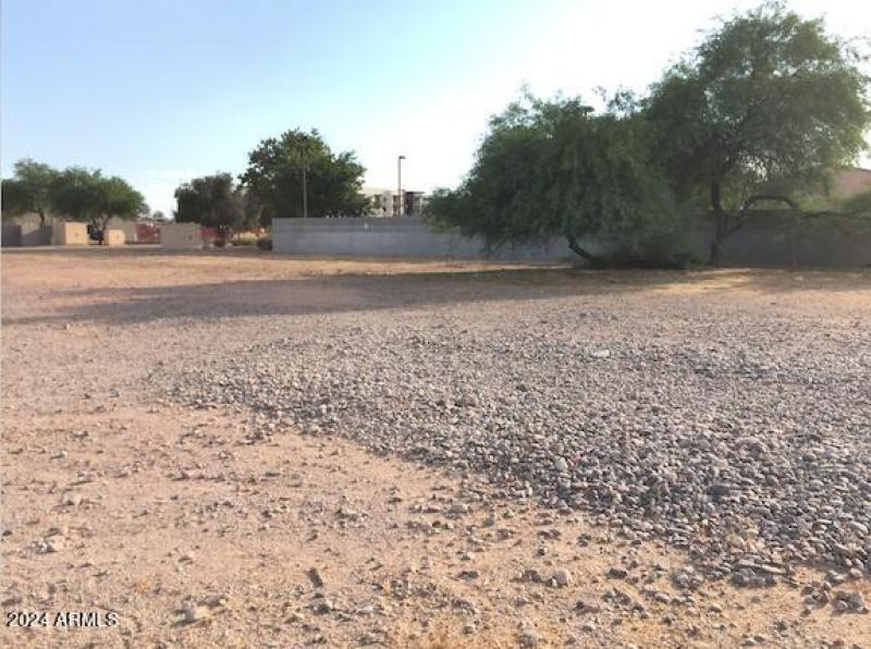 Chandler_514_E_Boston_Cir_3